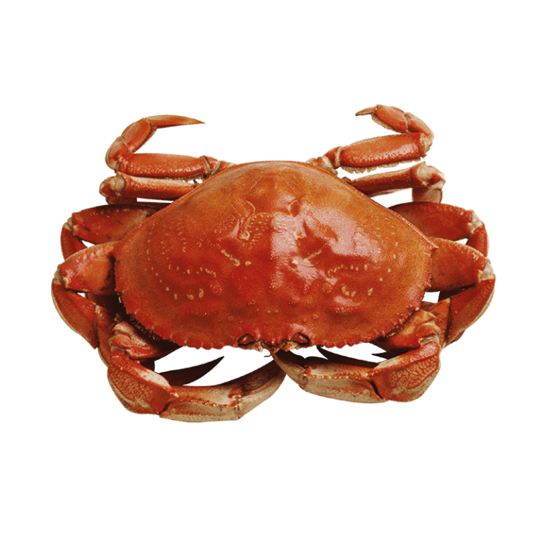 Krab
