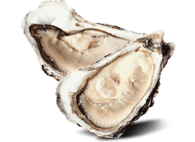 oesters-oesterstout